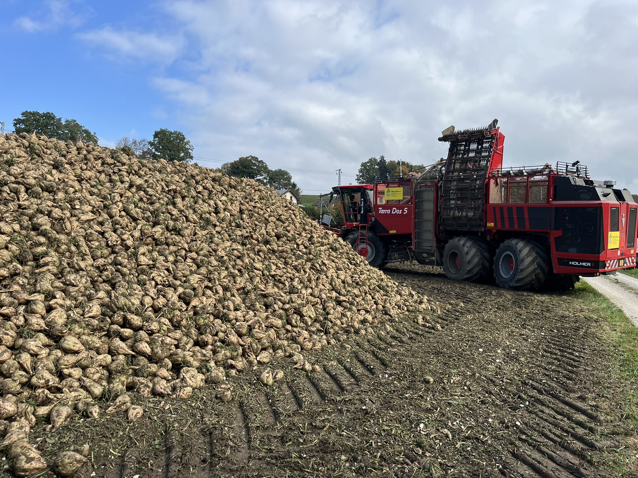 Copyright IP-SUISSE, Ricola, Sucre Suisse