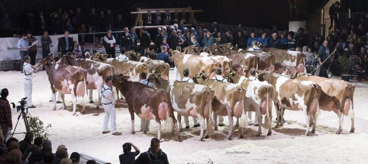 Copyright: Expo Bulle