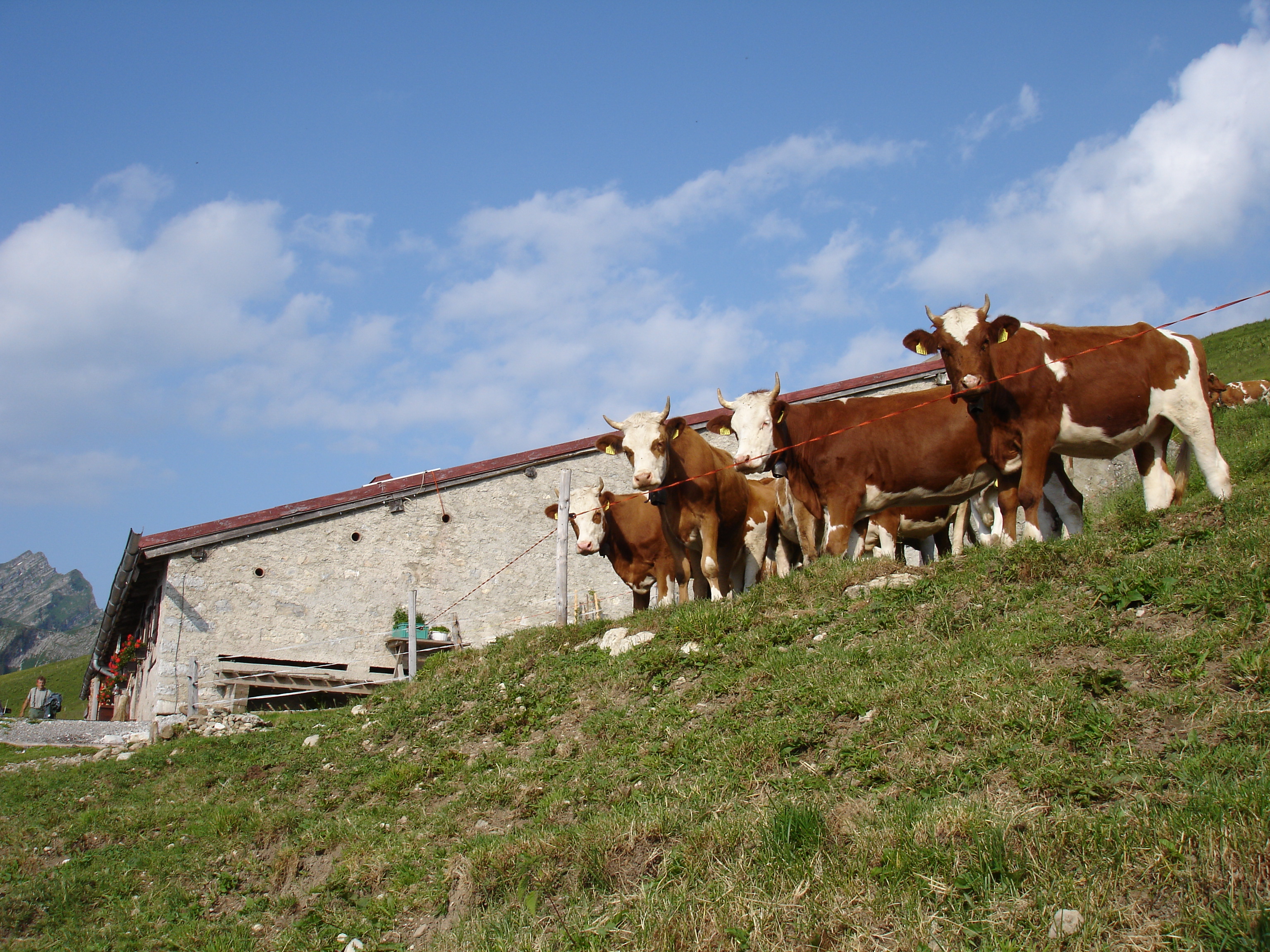 copyright: agriculture.ch