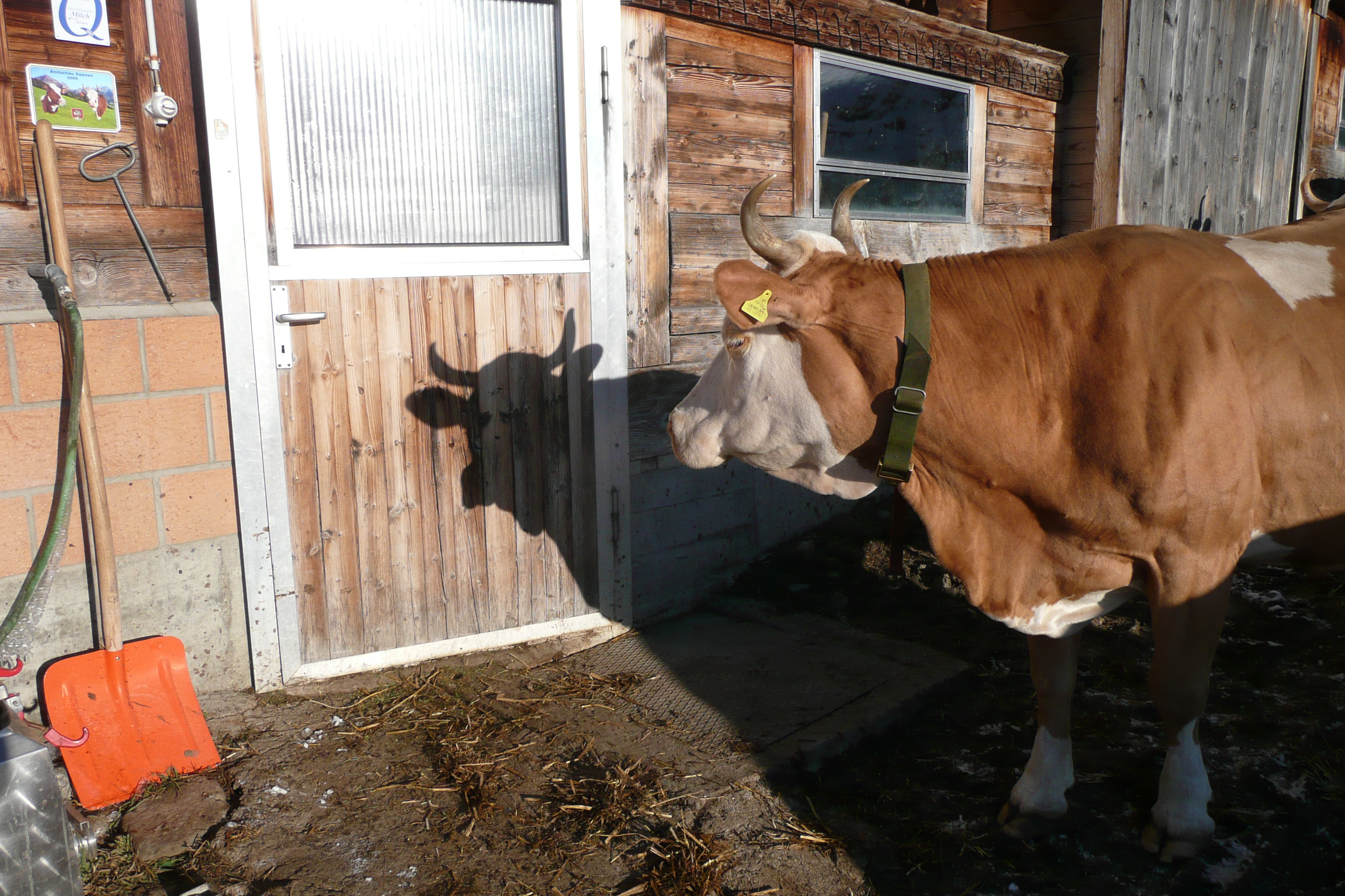 Copyright: agriculture.ch