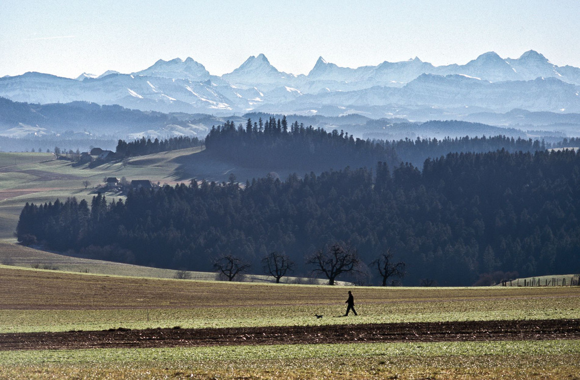 Copyright: M. Bolliger / SCNAT