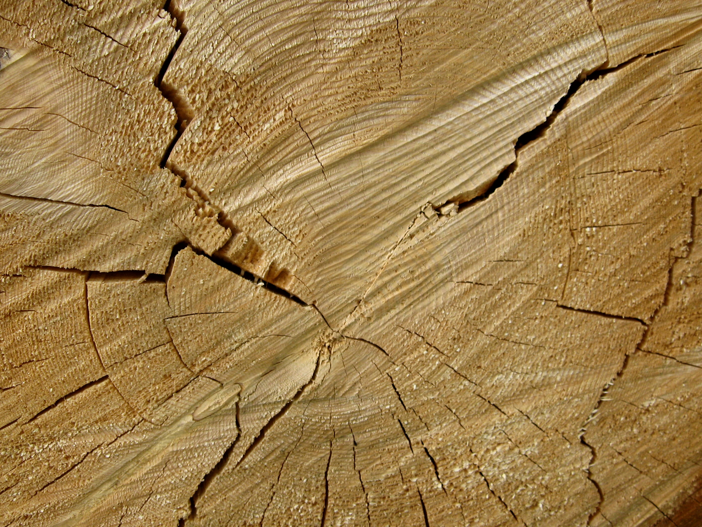 Copyright: agriculture.ch