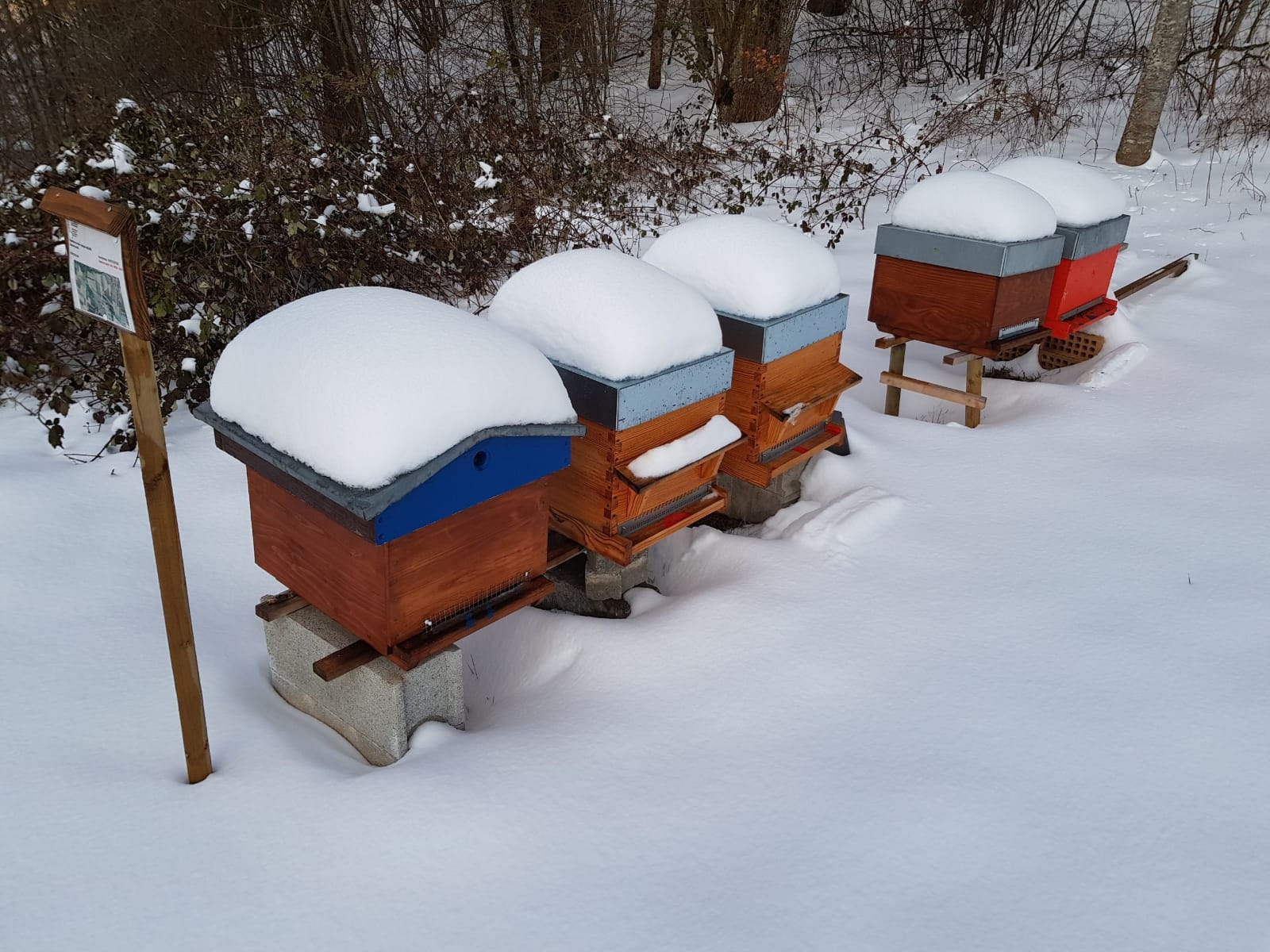 Copyright photo: Benjamin Jaquier