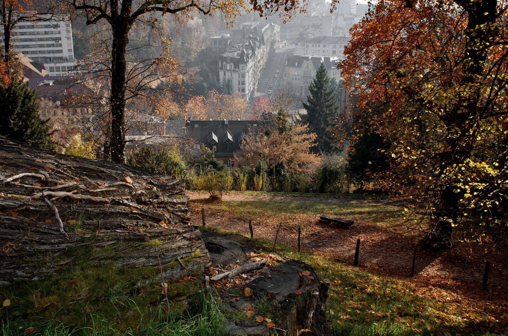 Copyright: Marino Trotta  