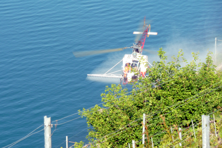 Copyright: agriculture.ch