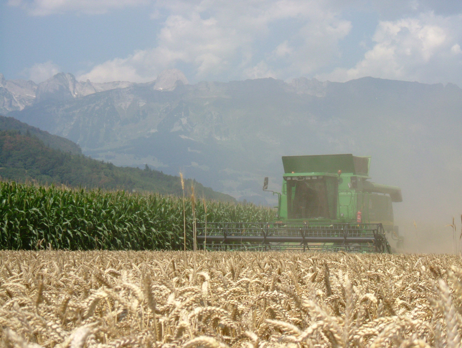 Copyright: H. Gabathuler / agriculture.ch