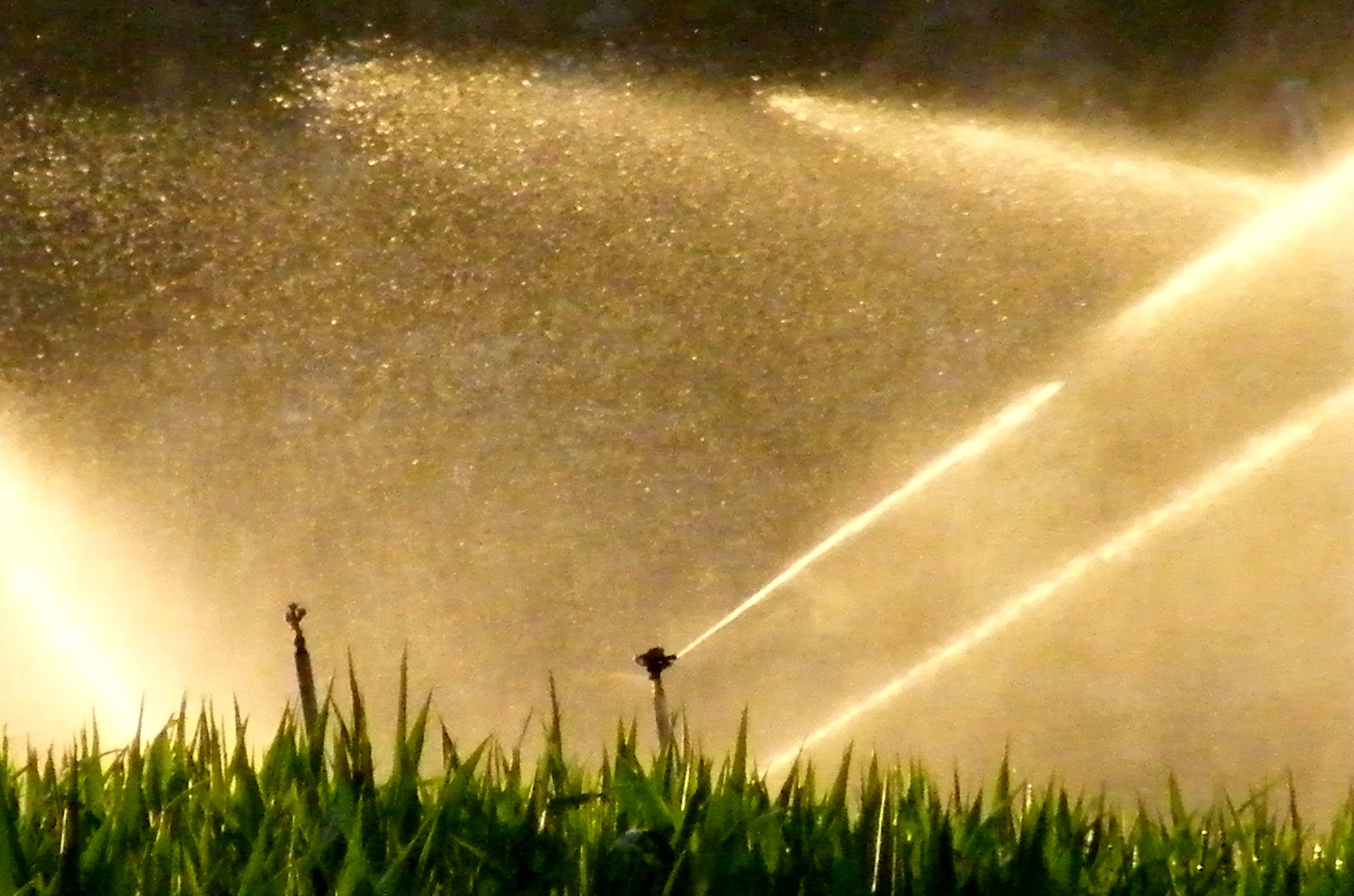 Copyright: agriculture.ch