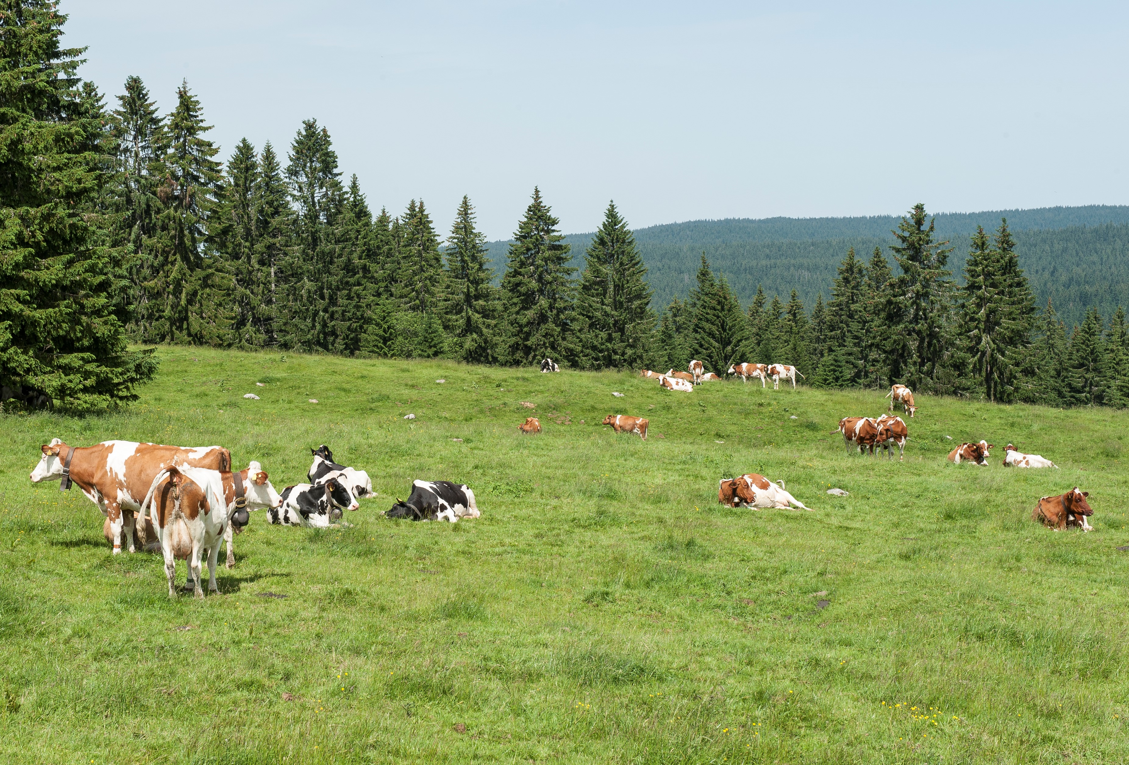 Copyright: Agroscope