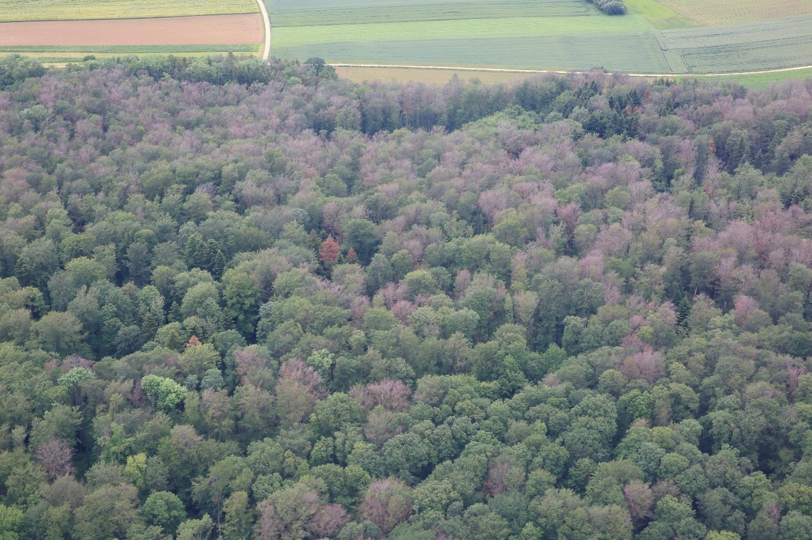 Copyright: Canton du Jura