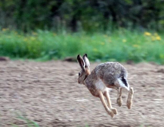 Copyright: canton du Jura