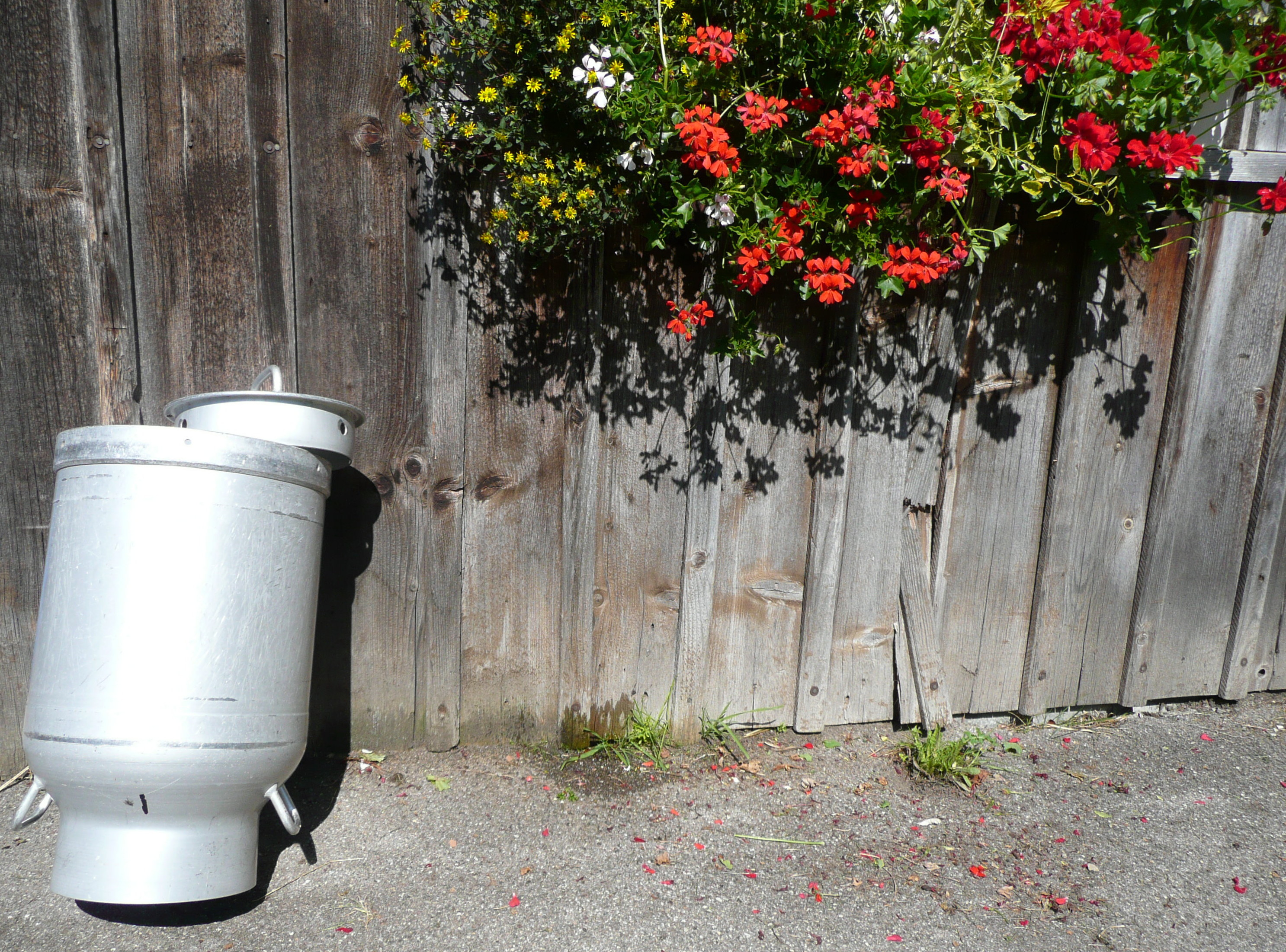 Copyright: I. Rutz / afgriculture.ch