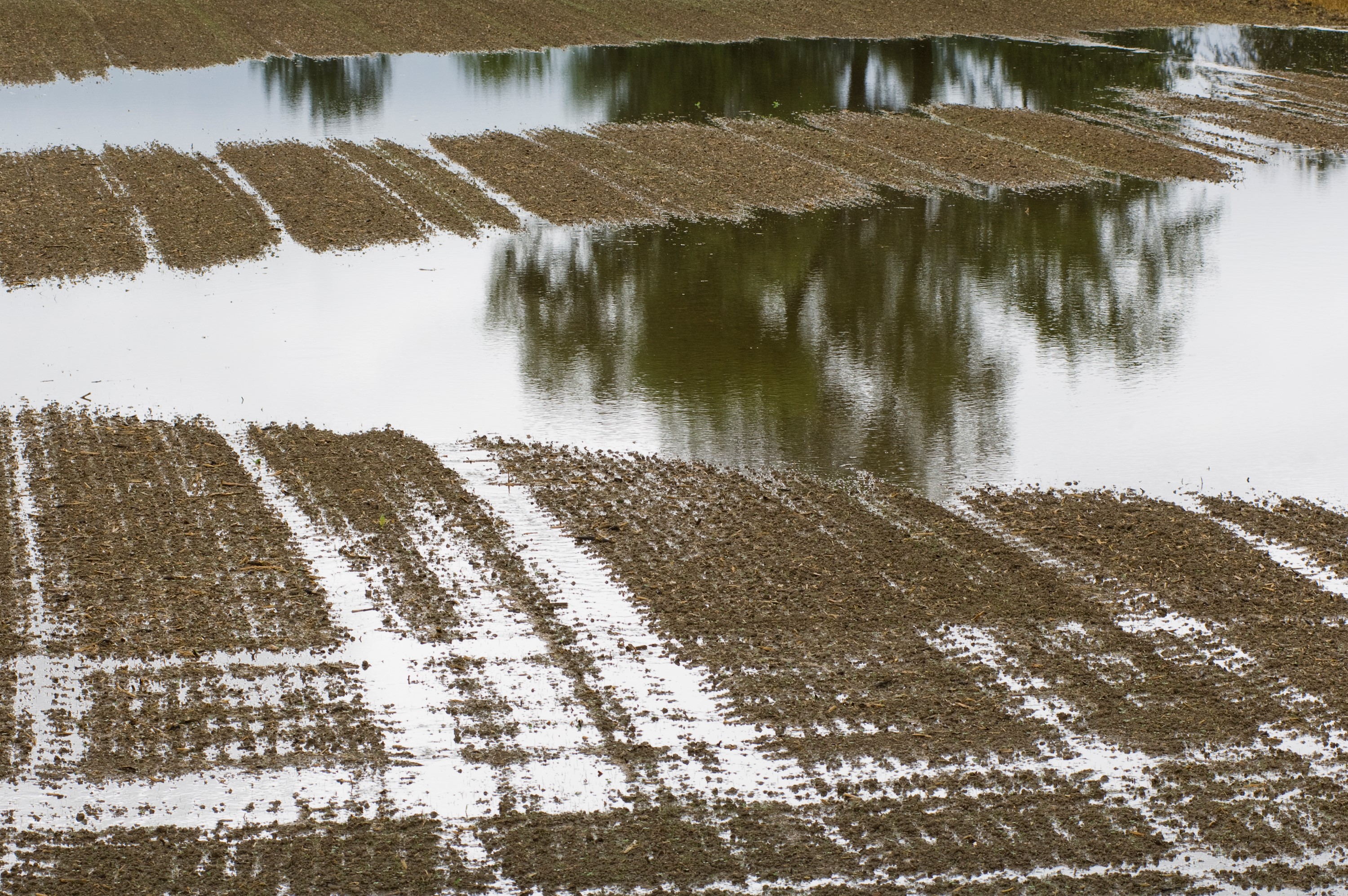 Copyright. Agroscope - Le compactage des sols a engendré une diminution de la capacité d’infiltration dans les sols provoquant une augmentation du risque d’inondation.