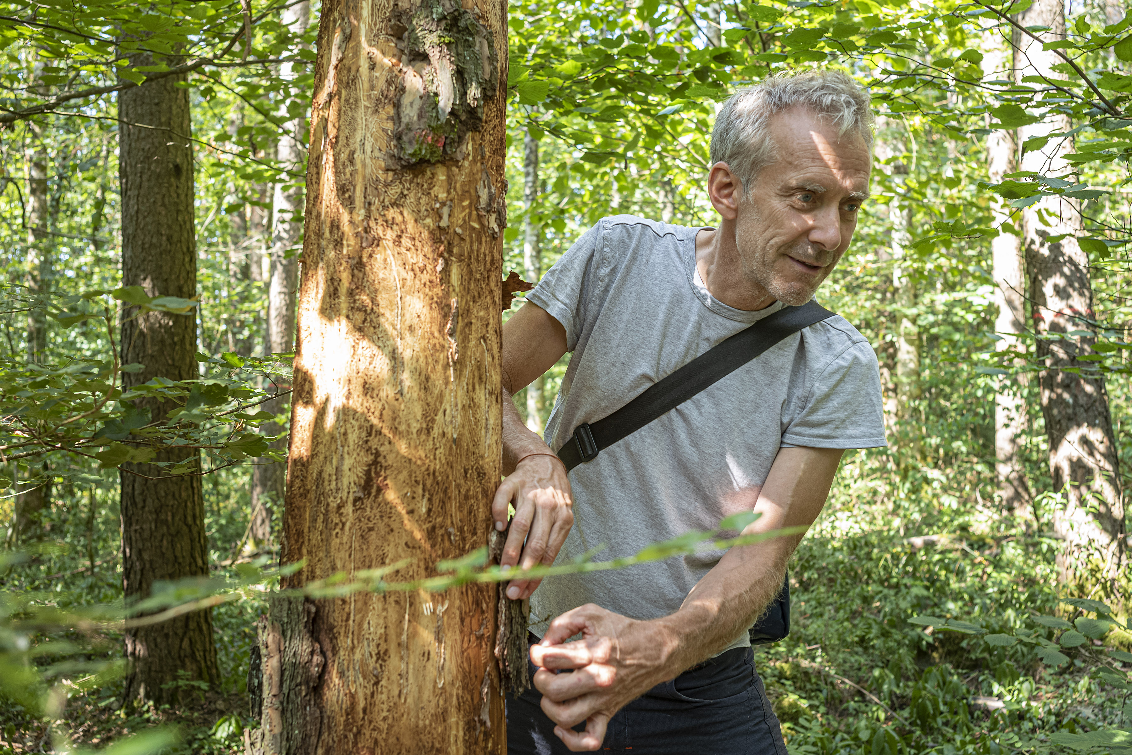 Jean Rosset, Inspecteur des forets Copyright: Etat de Vaud - Jean Rosset