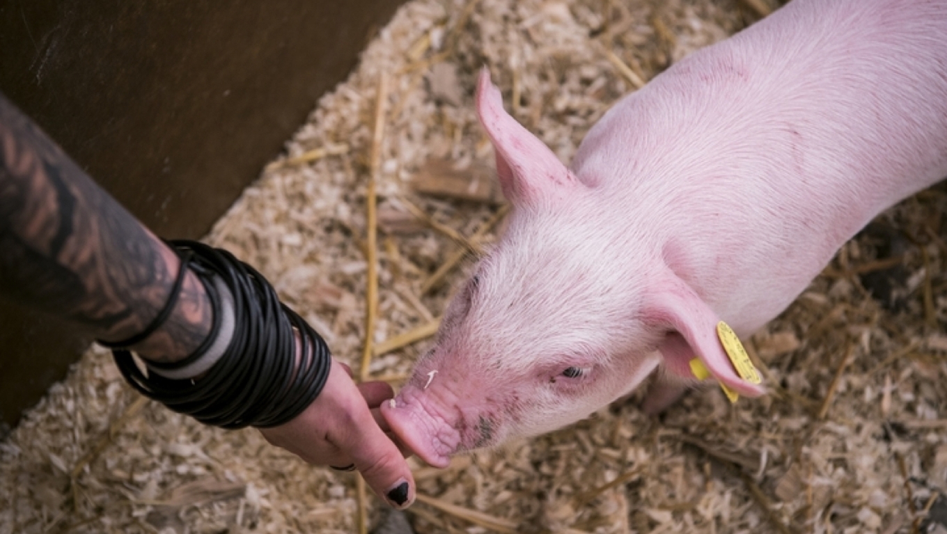 © www.foireduvalais.ch