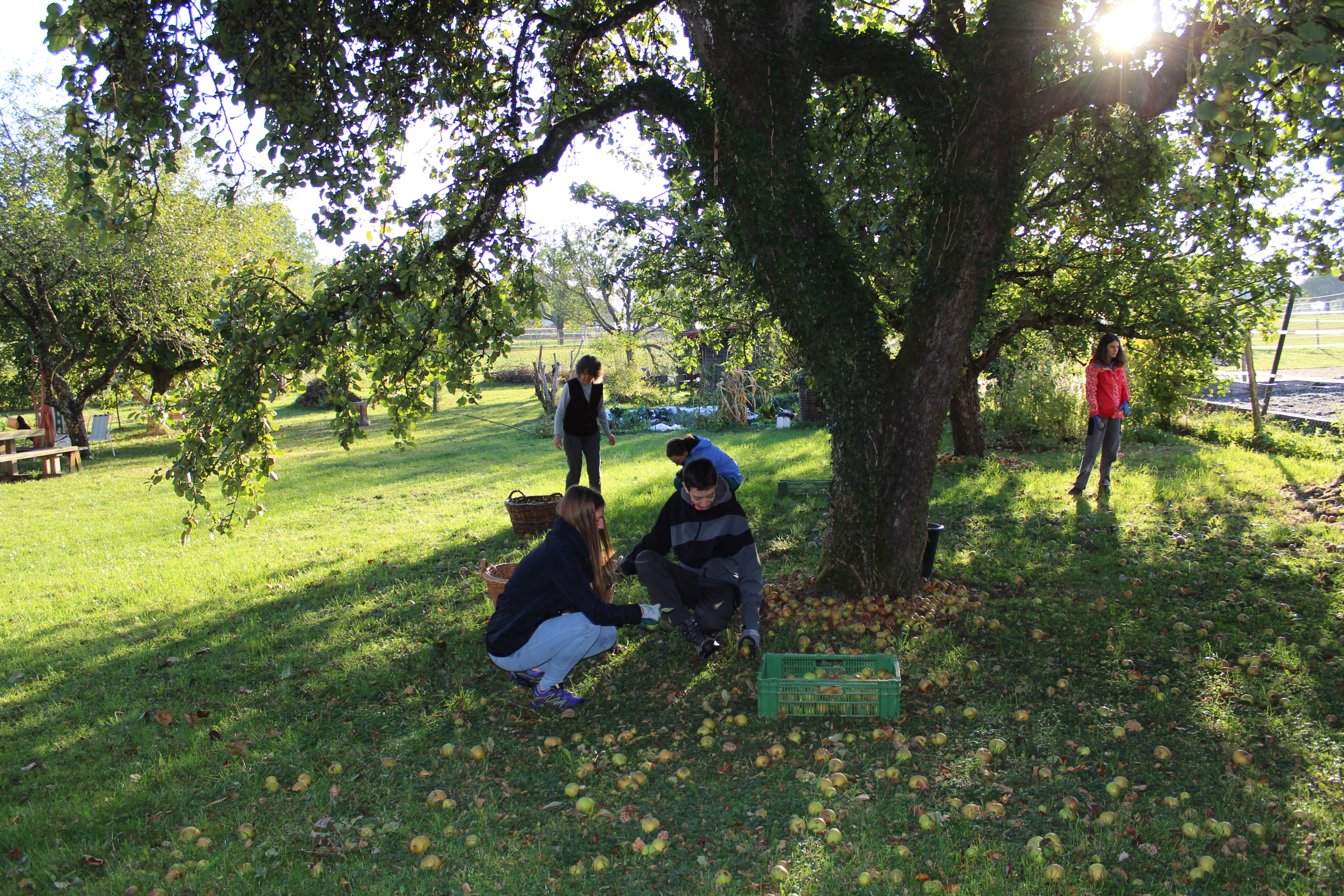 Copyright: Parc Chasseral