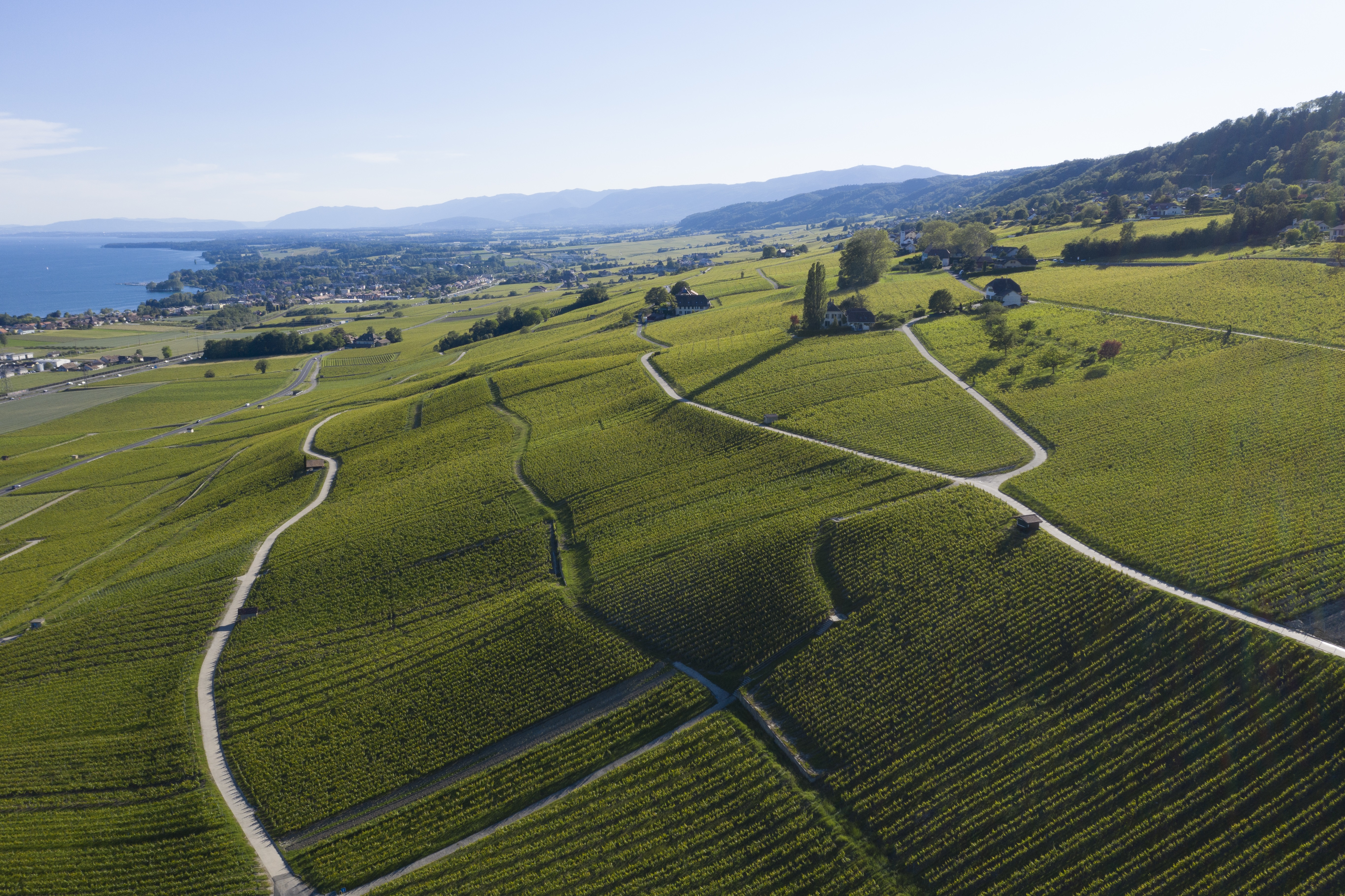 Copyright: Agroscope