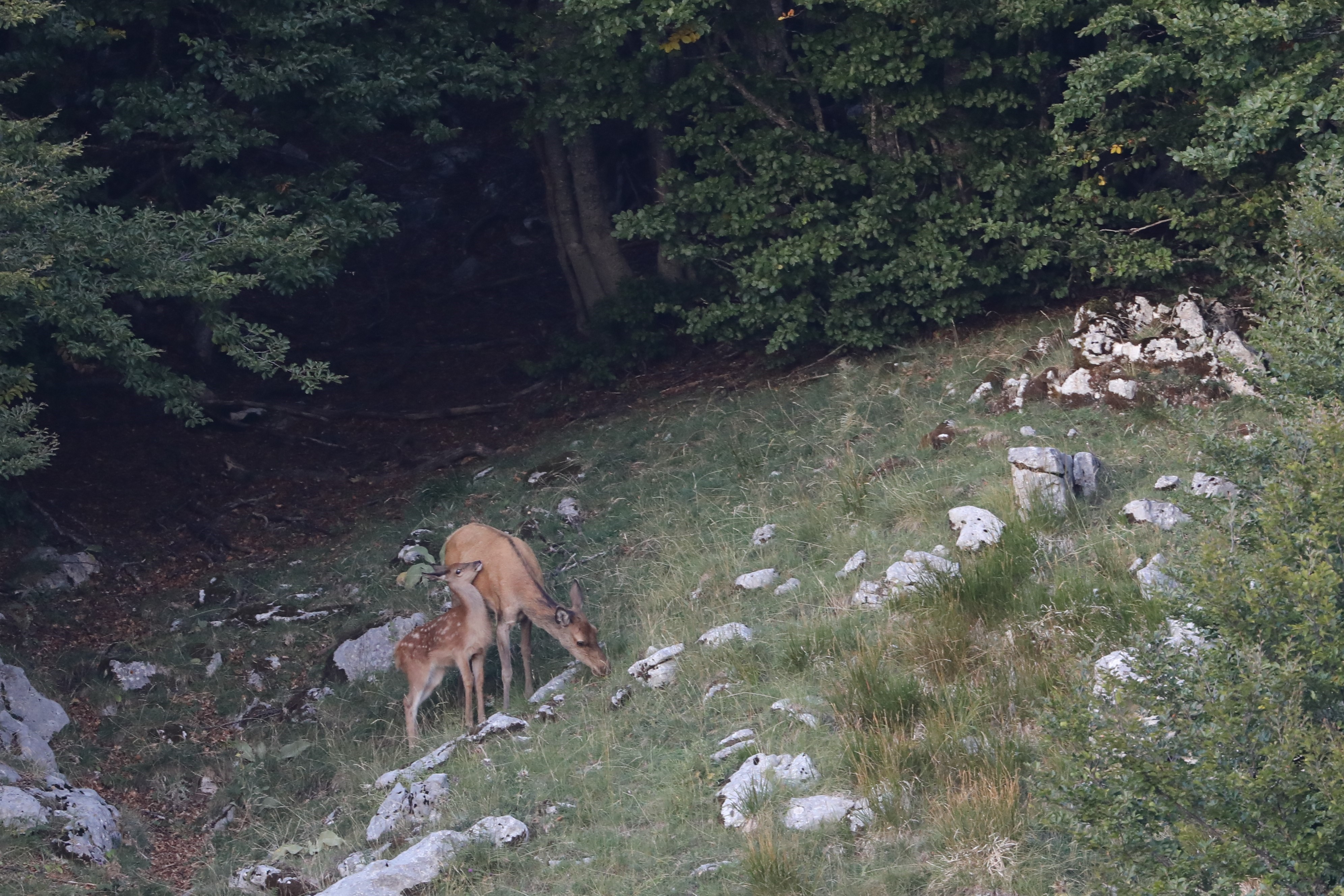 Copyright: canton du Jura