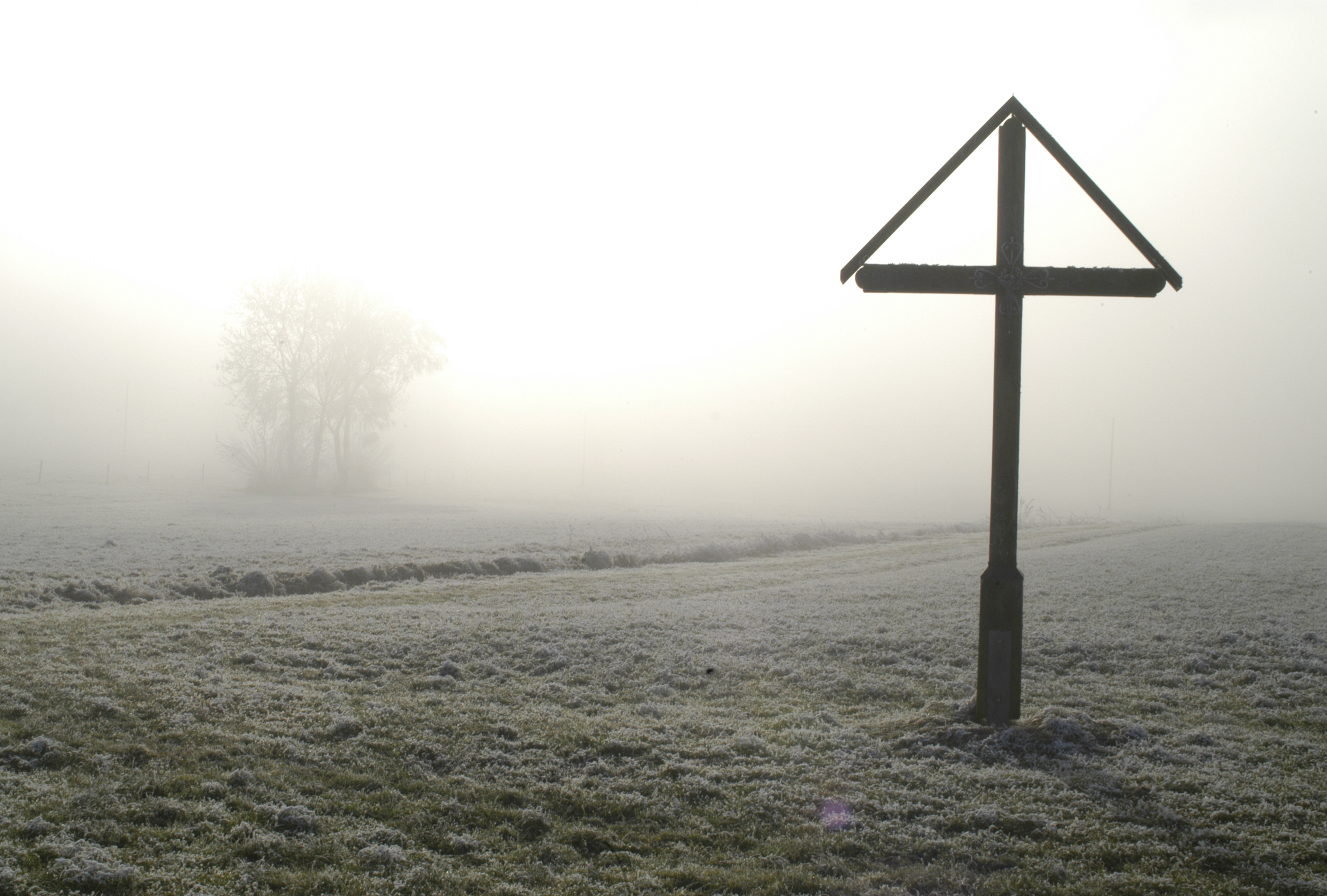 Copyright J. Kaeser / agriculture.ch