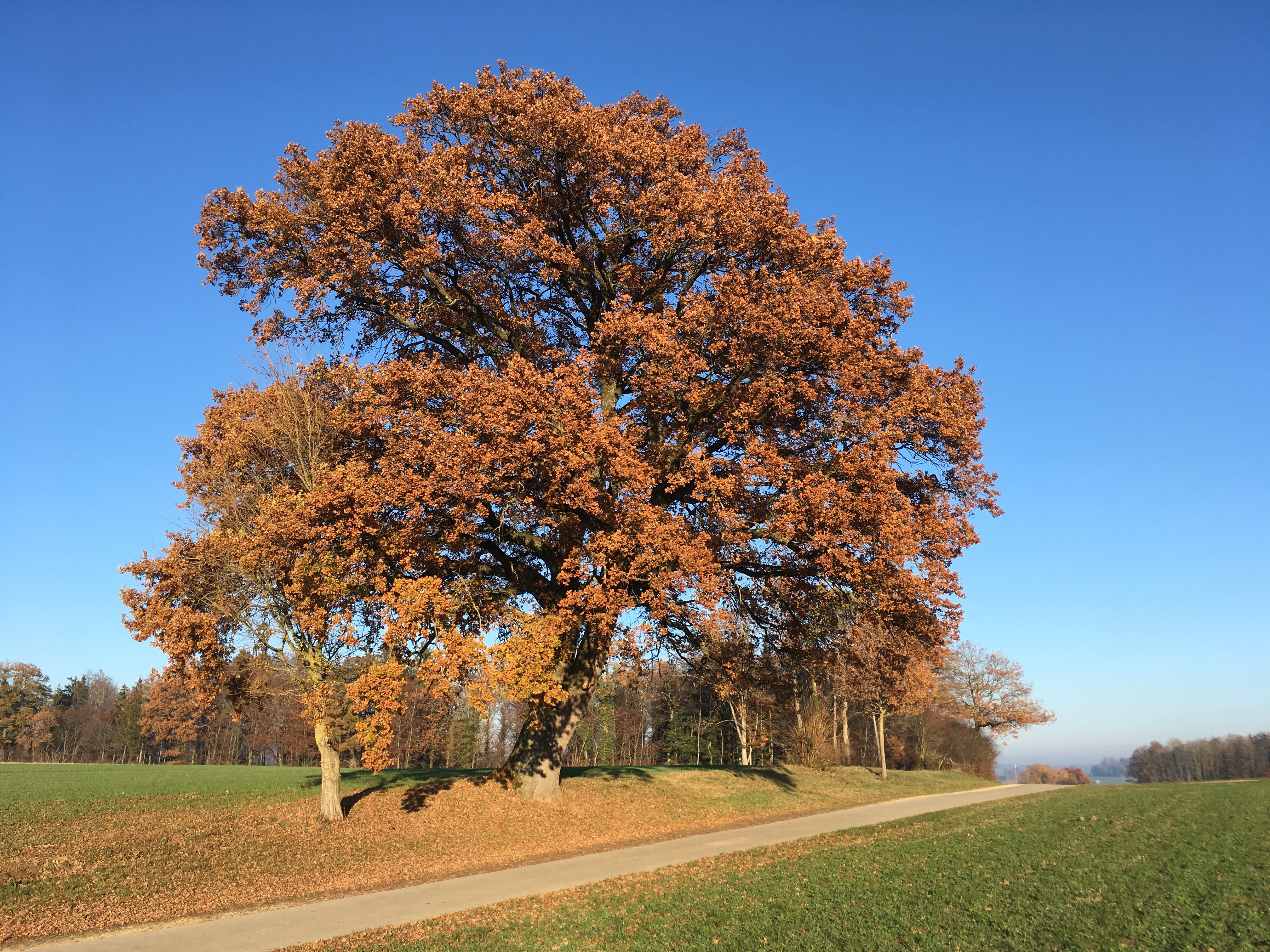 Copyright: Gouvernement du Jura