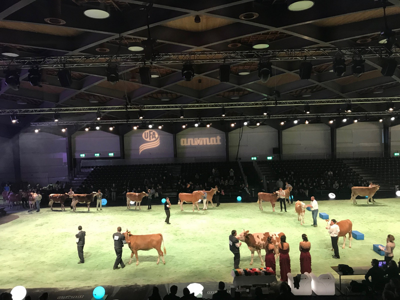 Copyright: Swiss Expo