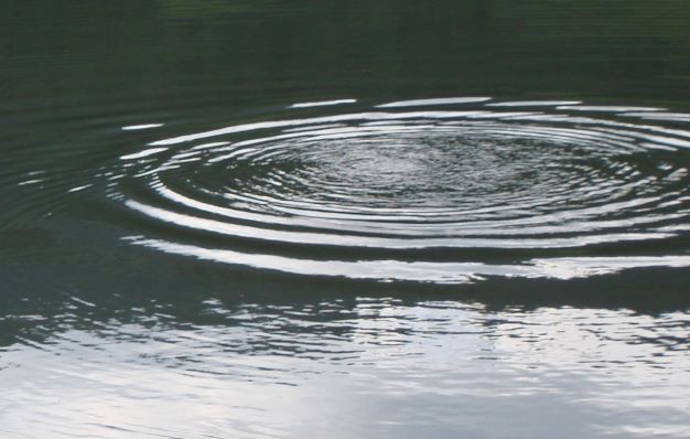 Copyright: agriculture.ch