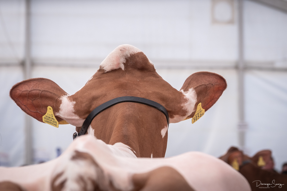 Copyright: Arc Jurassien Expo