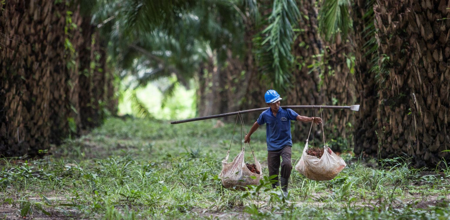 Copyright: Réseau suisse pour l'huile de palme