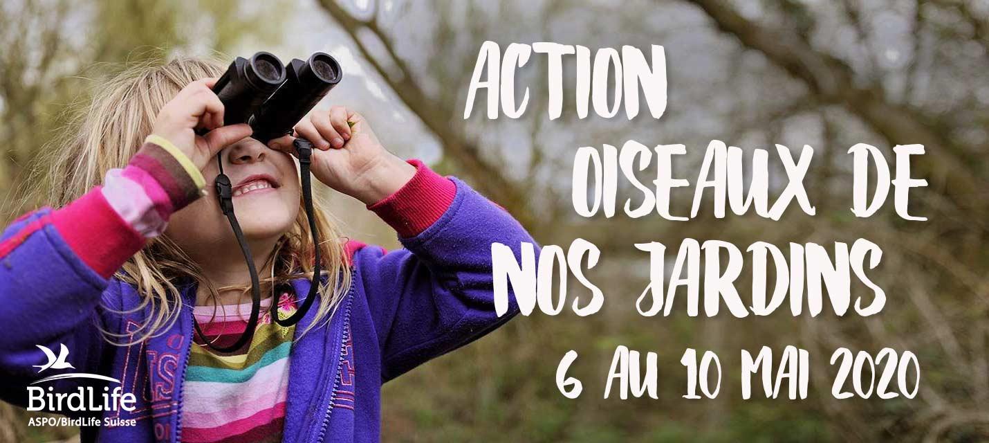 Copyright: BirdLife Suisse