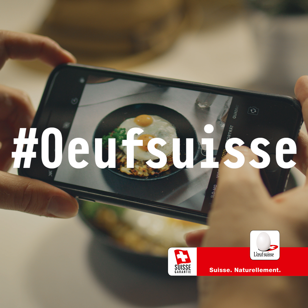 Copyright: gallosuisse.ch