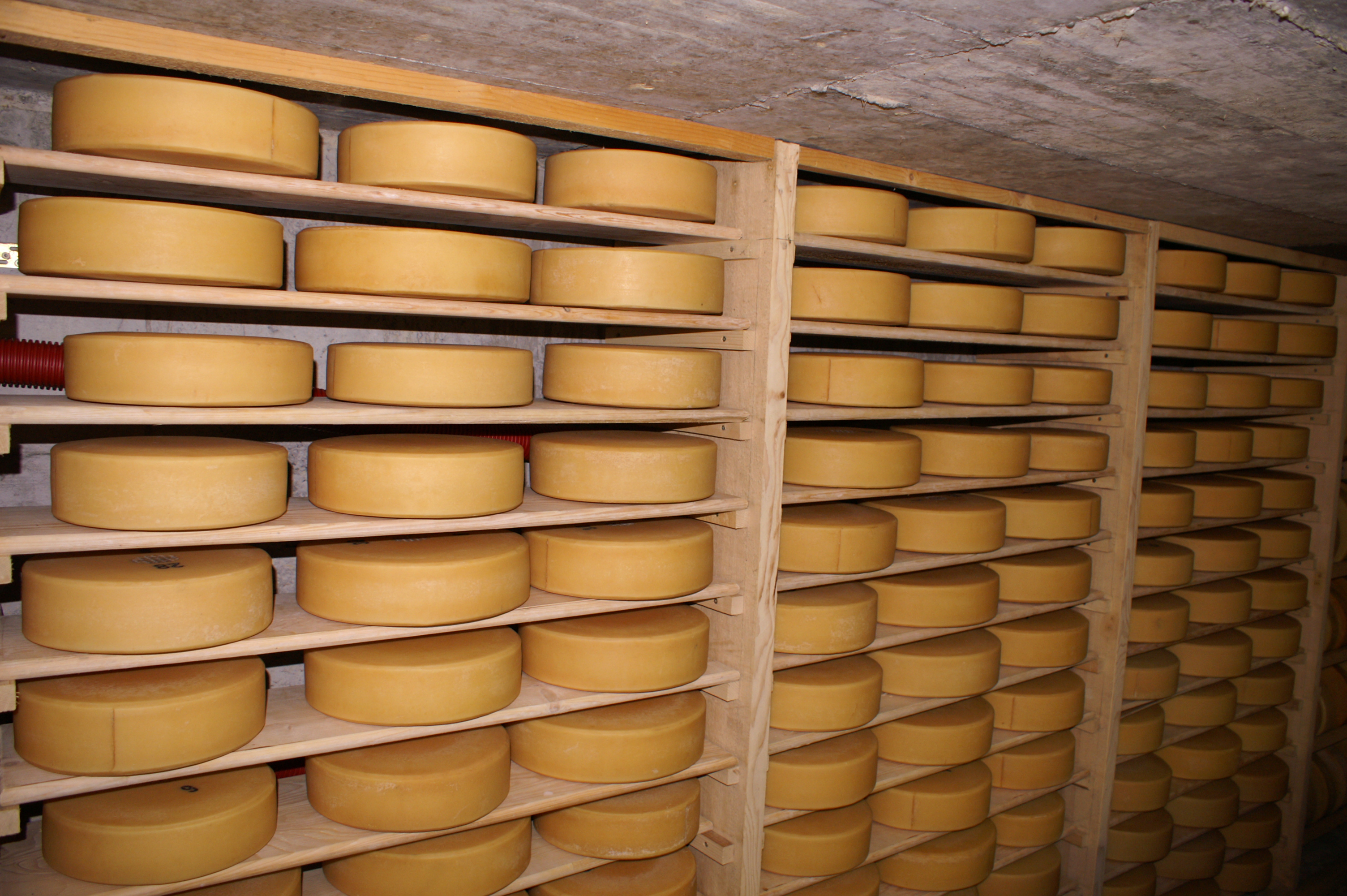 Andreas Steiner / agriculture.ch