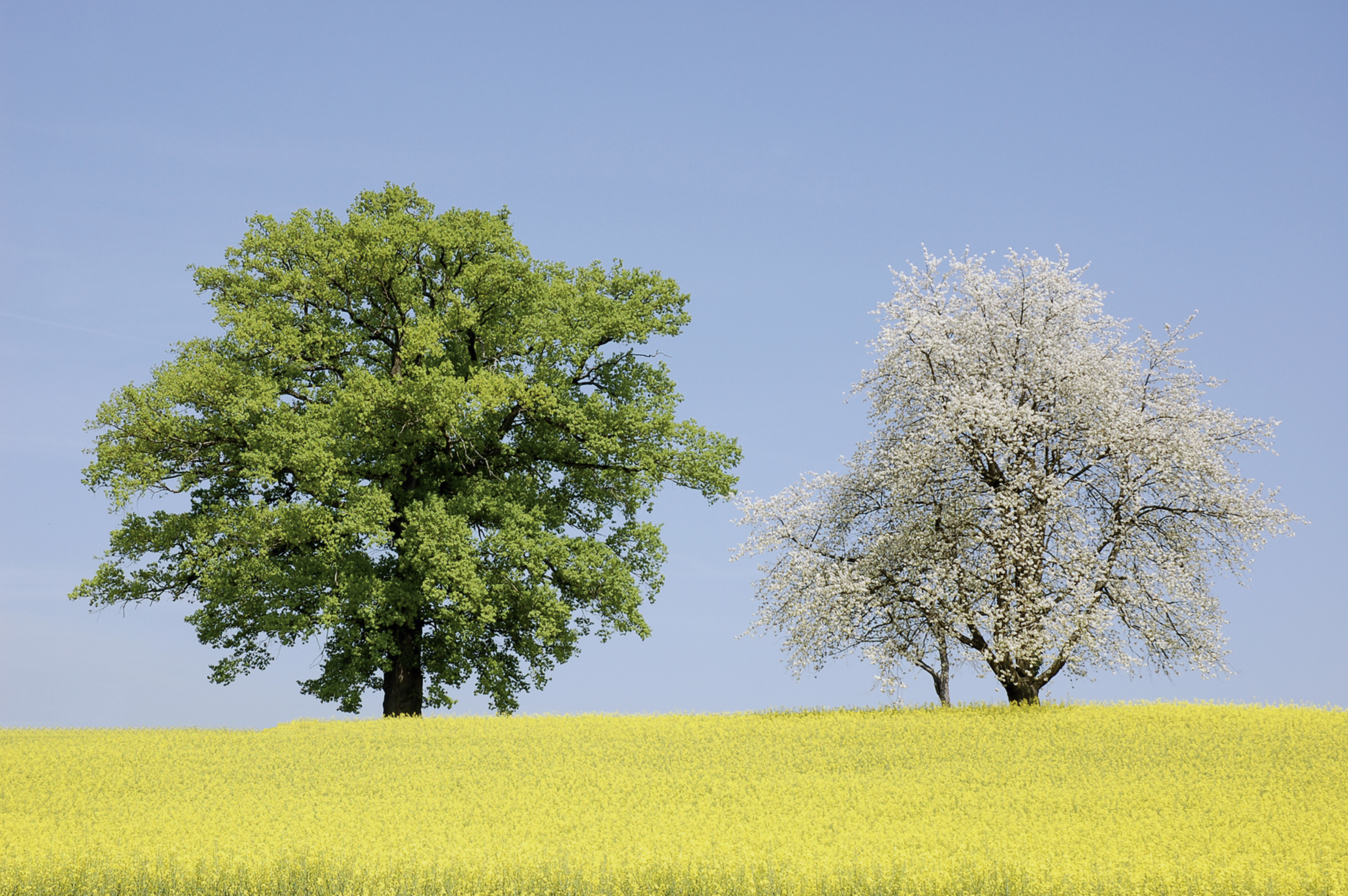 Copyright: agriculture.ch