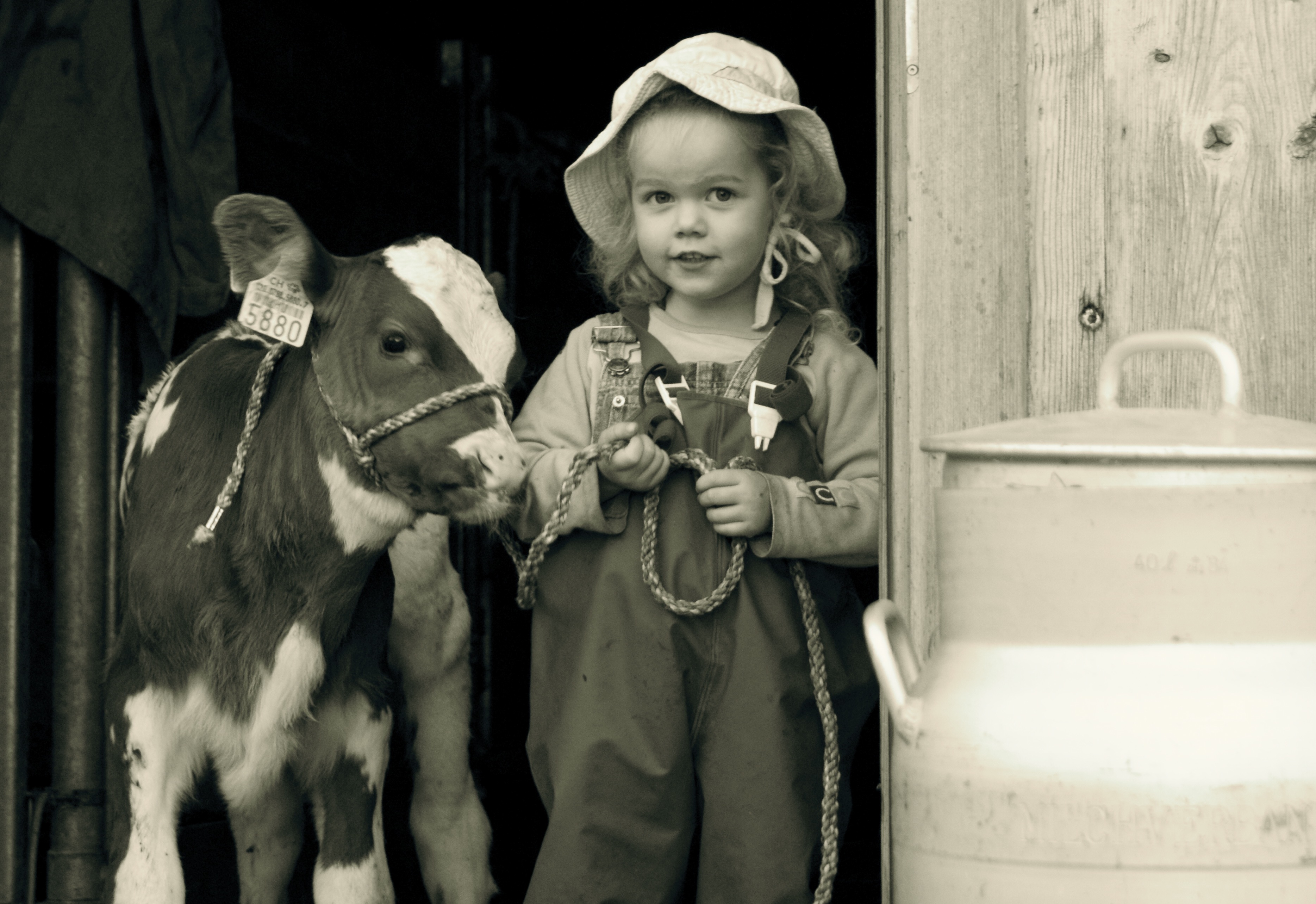 Copyright: Andrea K / agriculture.ch