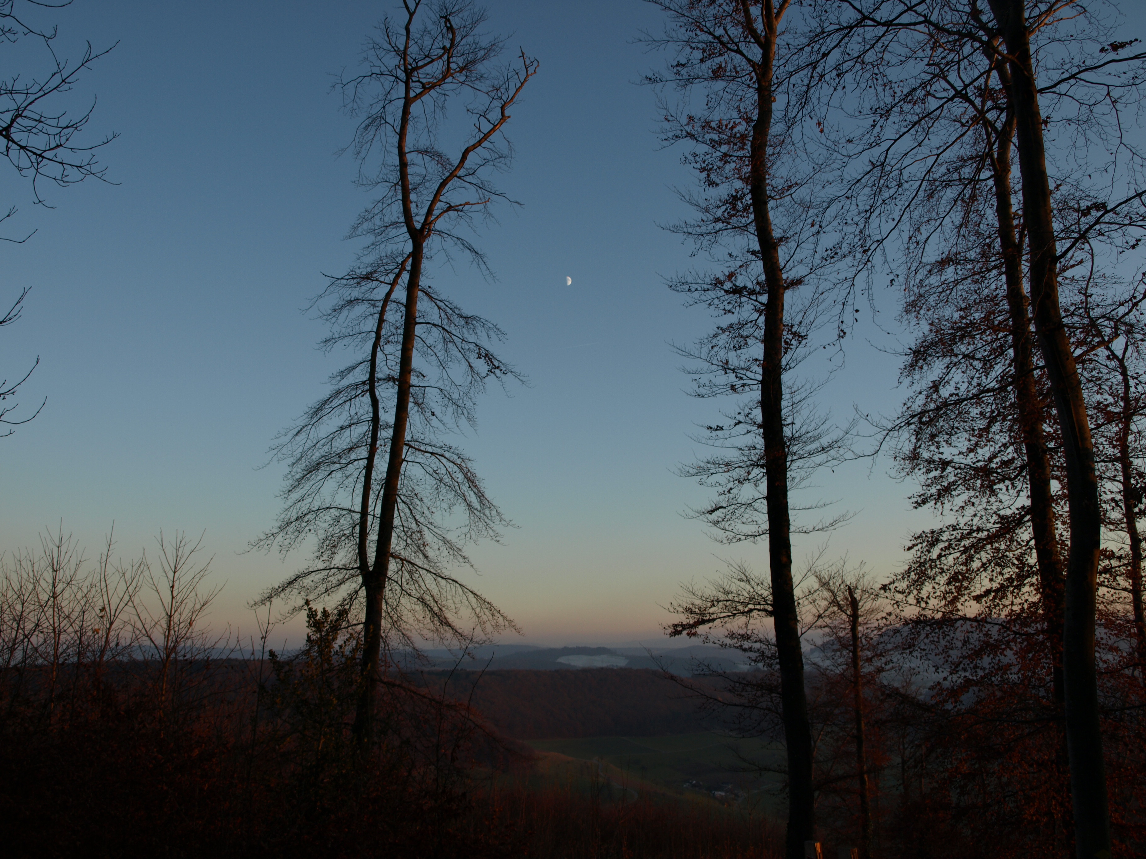 Copyright: agriculture.ch