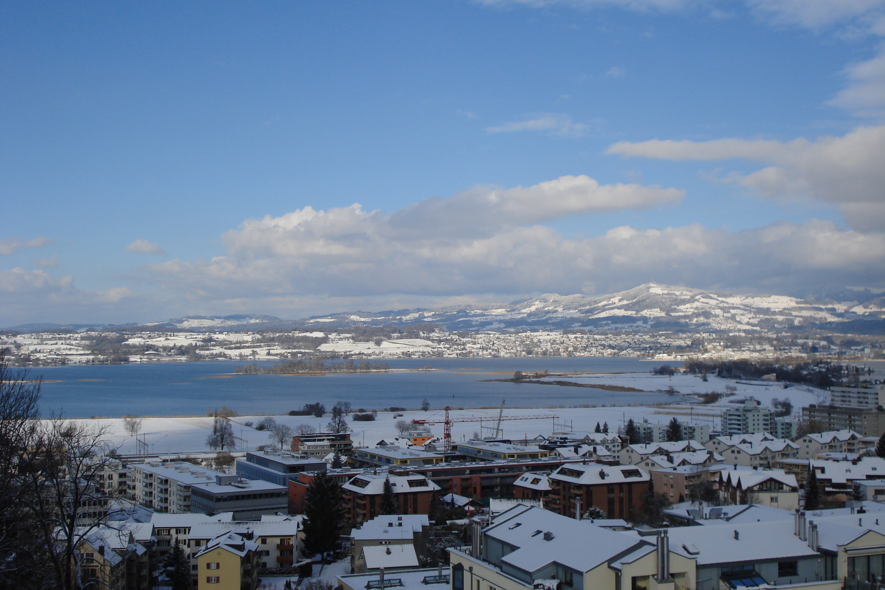 Copyright: A.D'Agostino/agriculture.ch