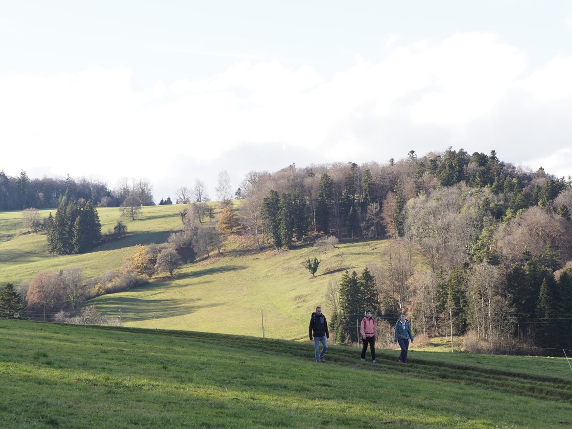 Une offre touristique bien coordonnée