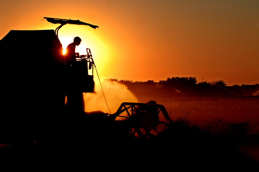 Copyright: agriculture.ch