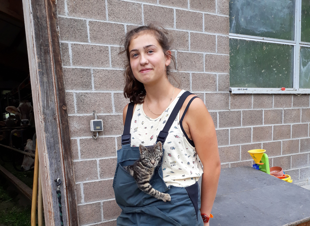 Copyright: C. Bamert