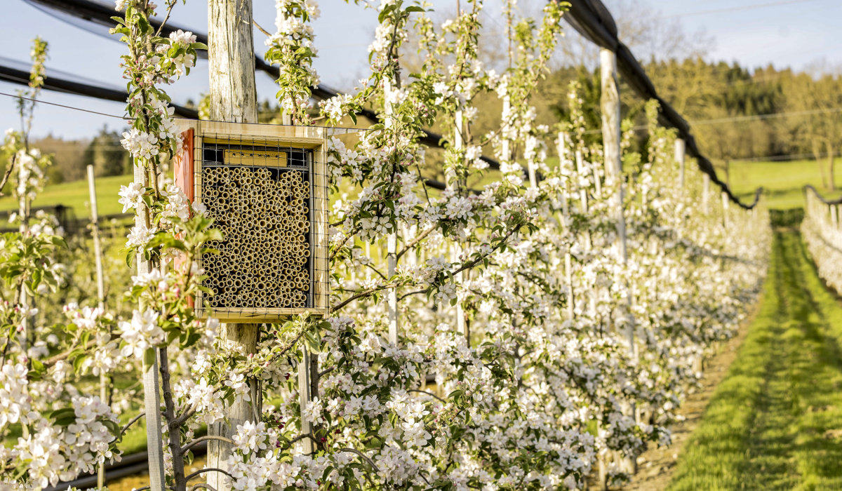 Copyright: fenaco / Alexander Kunz