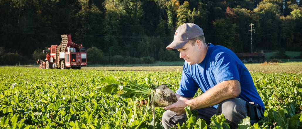 Copyright: IP-Suisse