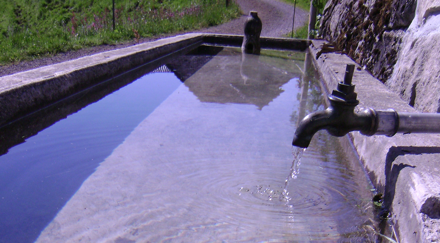 Copyright: M. Haldimann /agriculture.ch