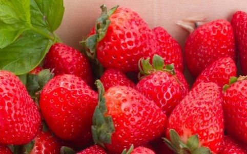 Dans la 2e partie de l’assemblée générale, Manfred Bötsch a donné une conférence sur le thème du développement durable. Il a souligné l’importance des fruits et légumes dans l’alimentation et les enjeux qui en découlent