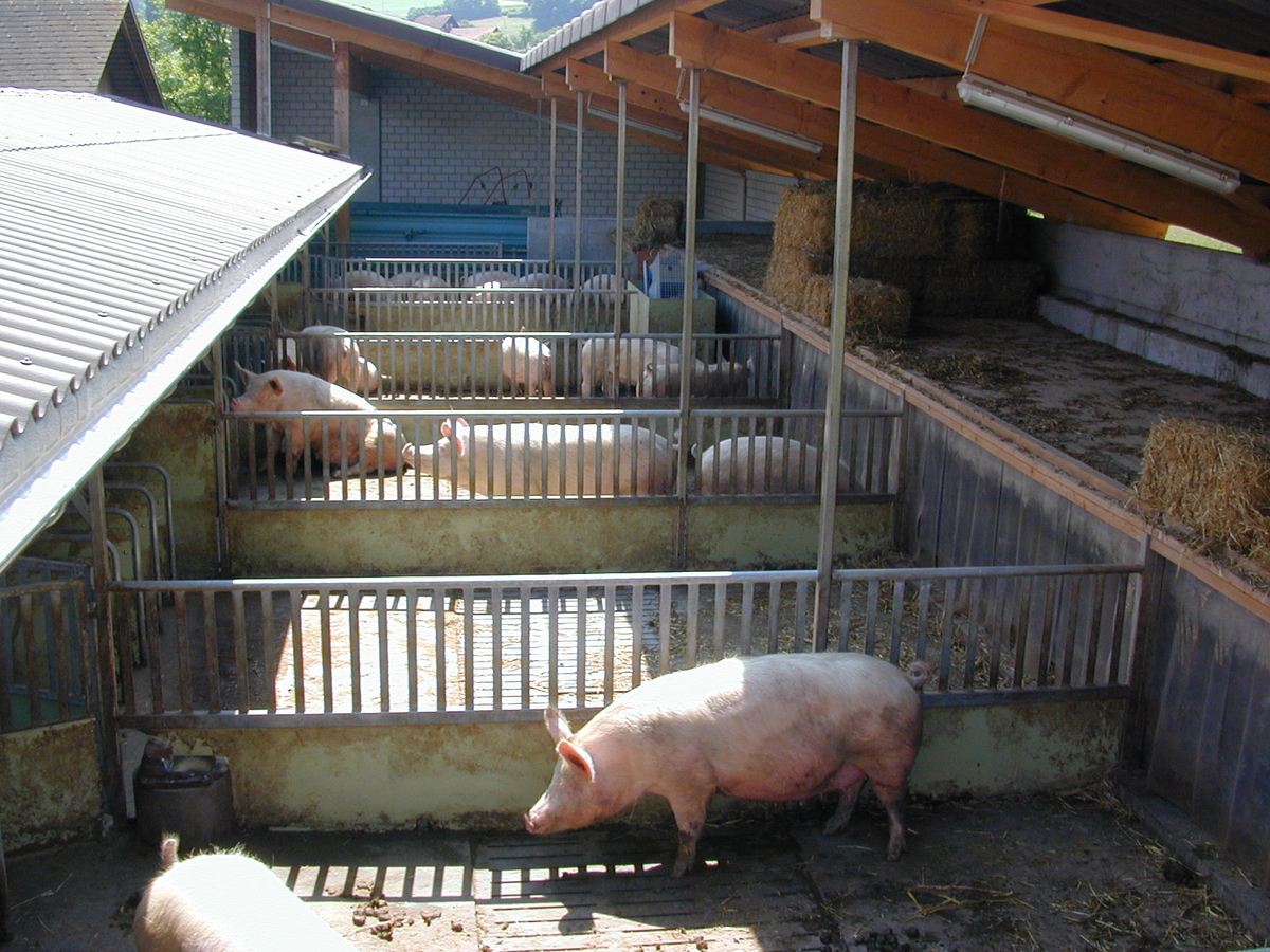 copyright USP copyright USP