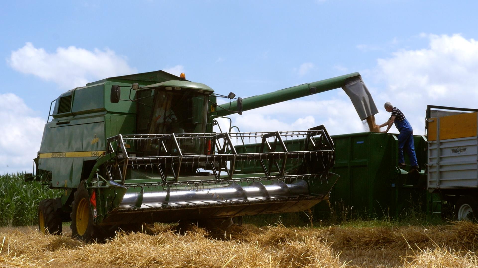 Copyright: swiss granum