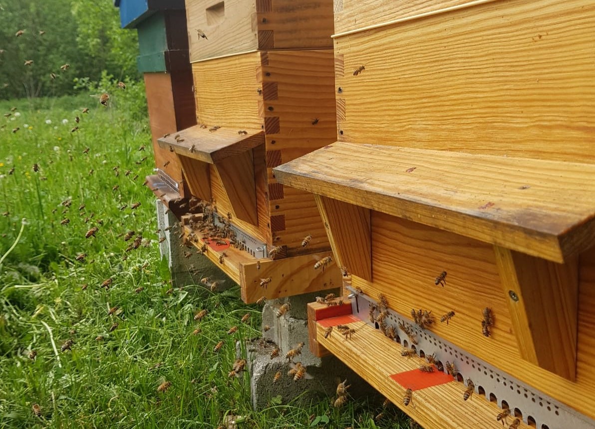 Copyright: Benjamin Jaquier