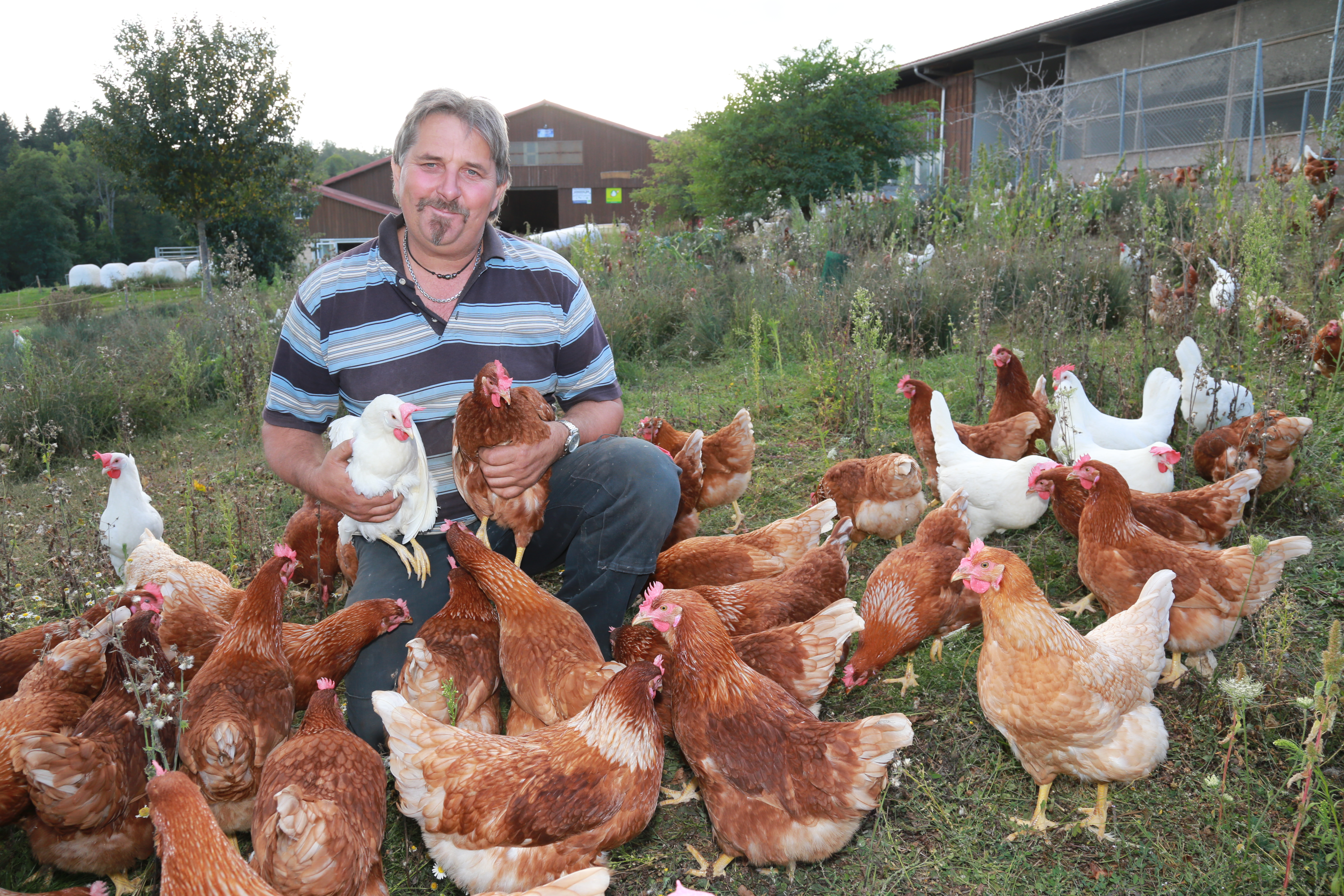 Noël Saucy agriculteur à Develier (JU) et président de la Fondation Rurale Interjurassienne 