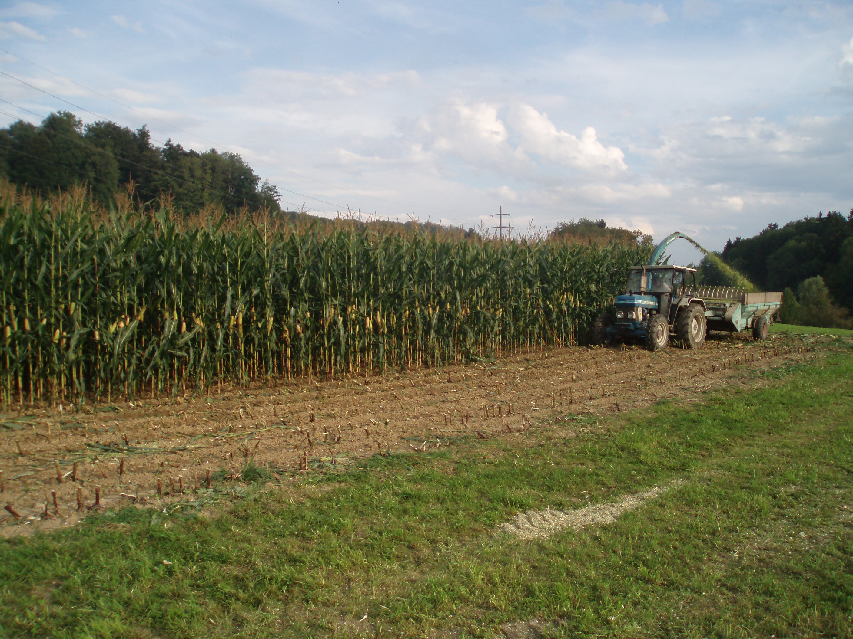 Copyright: T. Tanner / agriculture.ch