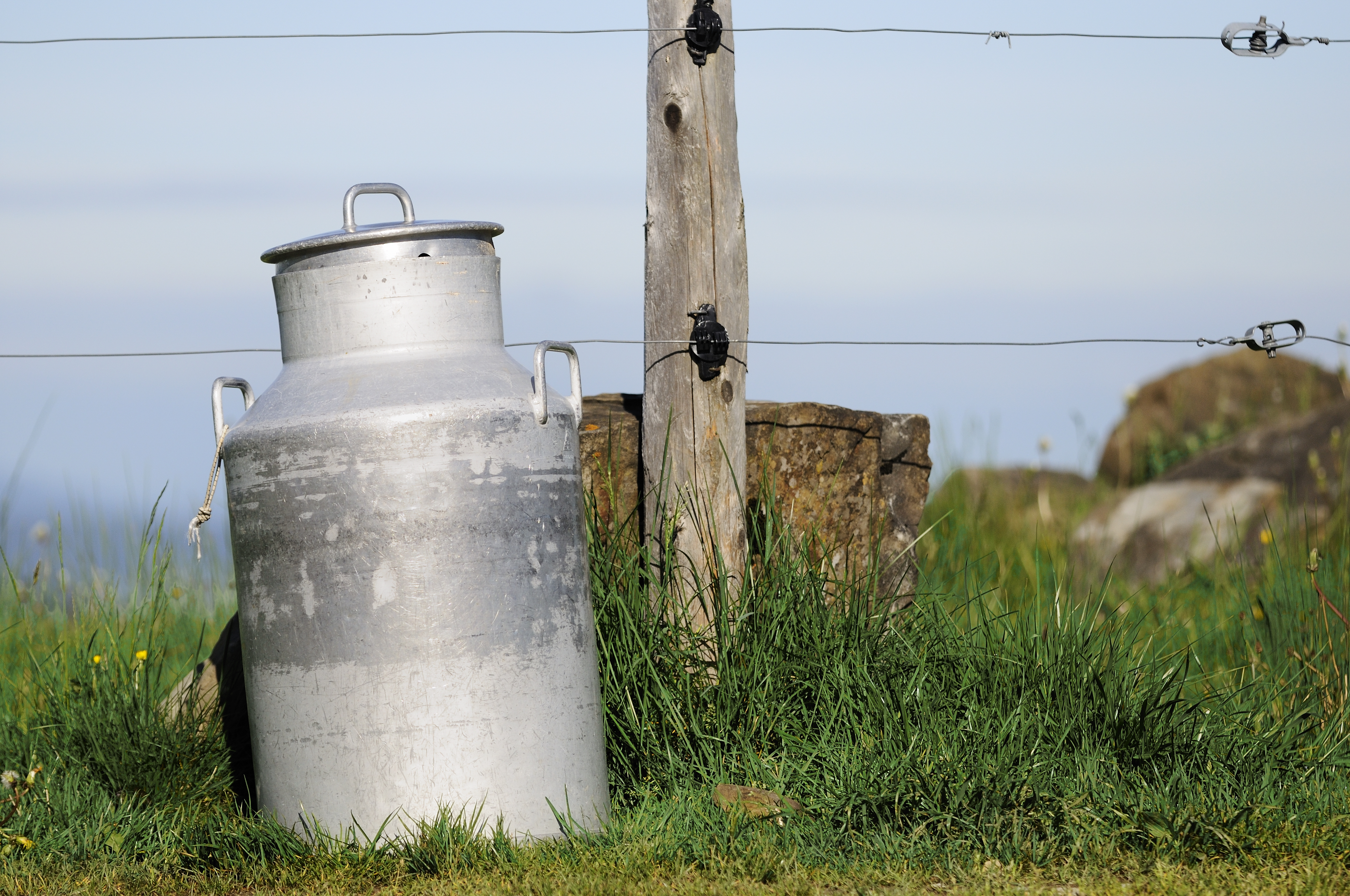 Copyright: agriculture.ch