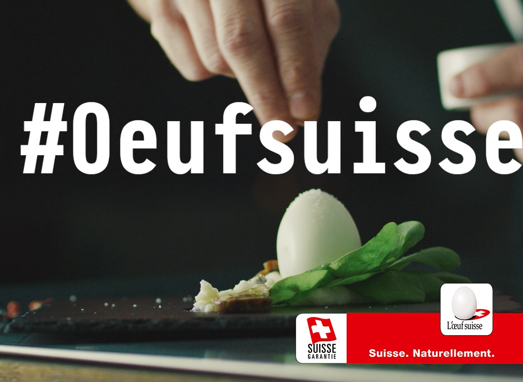 Copyright: GalloSuisse