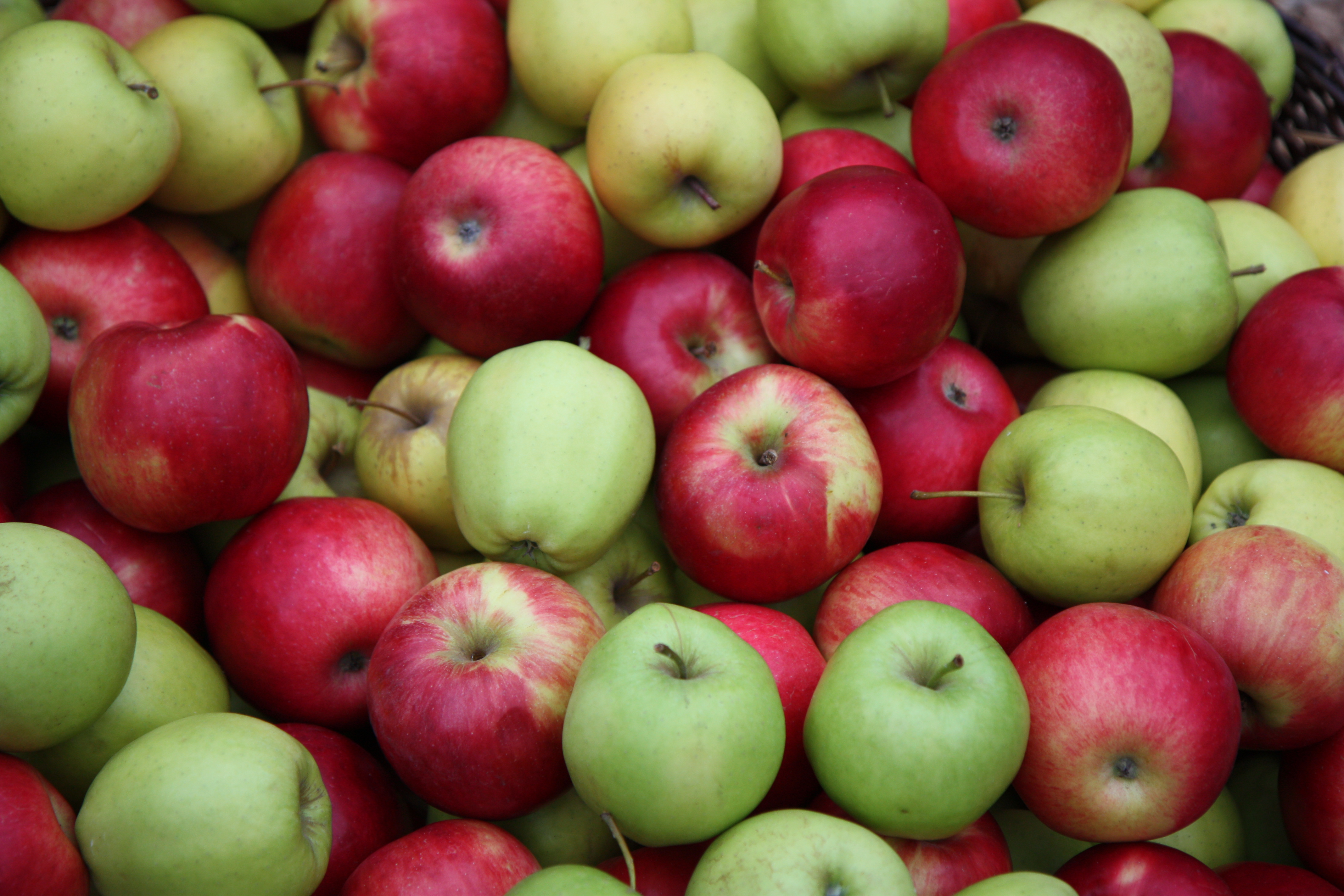 Copyright: agriculture.ch