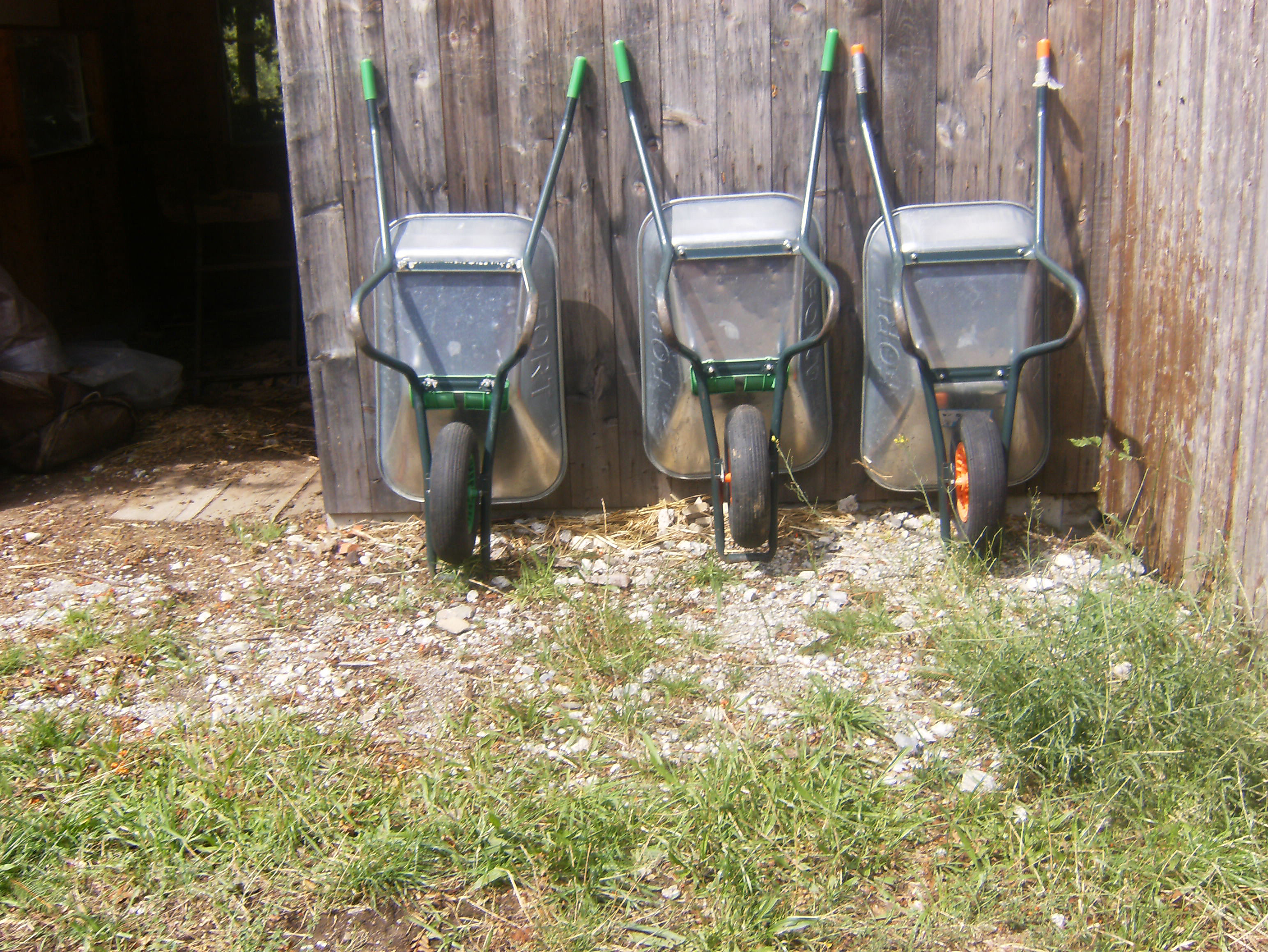 Copyright: H. Bichsel / agriculture.ch